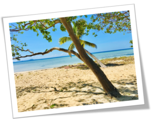 Fiji beach